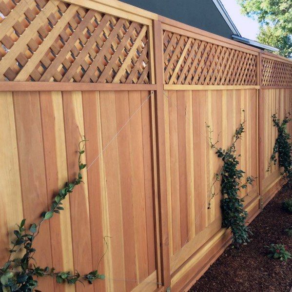 fence5